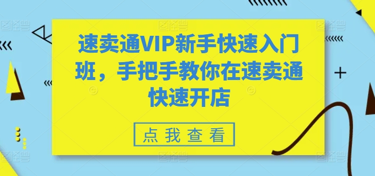 速卖通VIP新手快速入门班，手把手教你在速卖通快速开店-搞钱利器