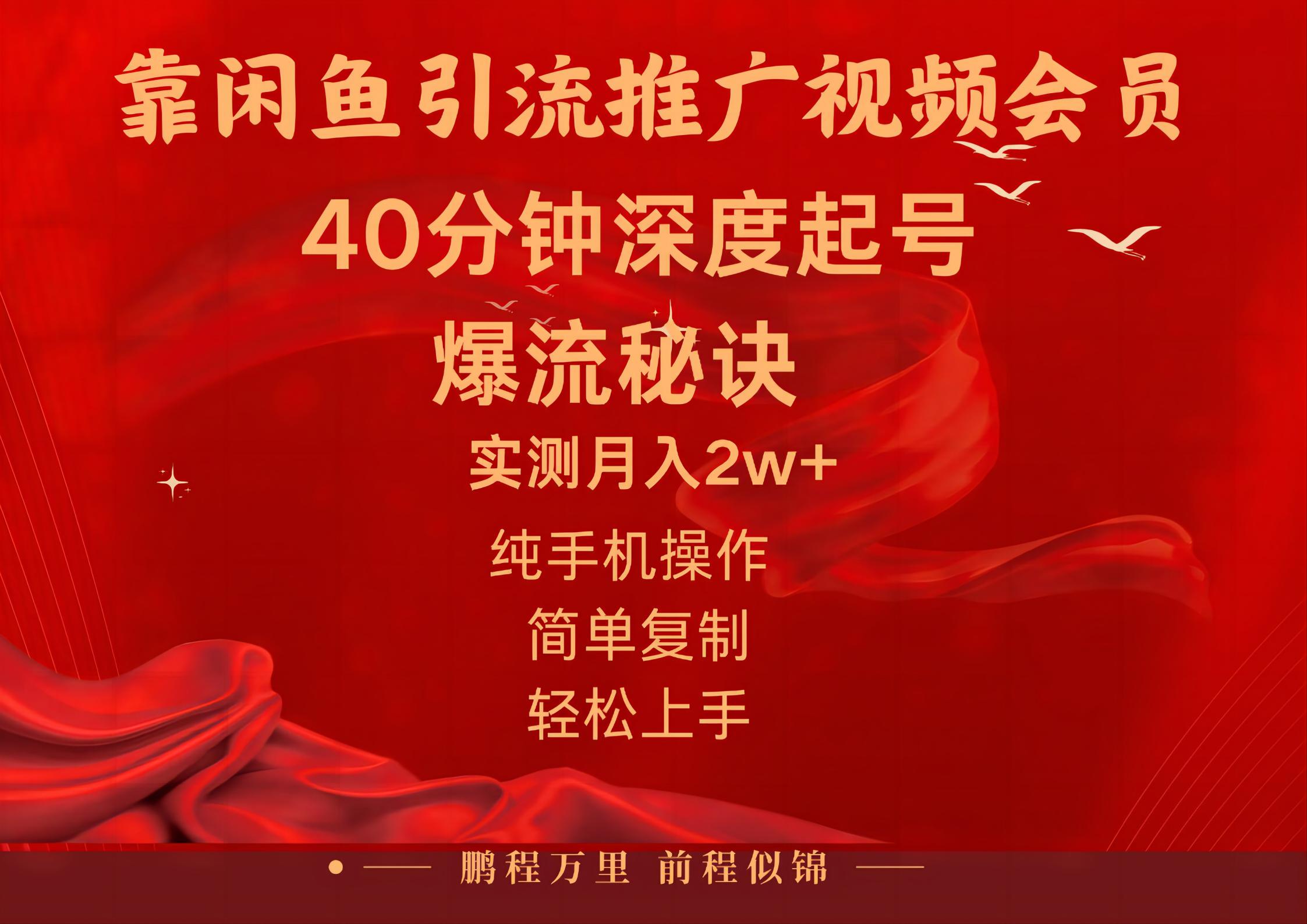闲鱼暴力引流推广视频会员，能做到日入2W+，操作简单-搞钱利器