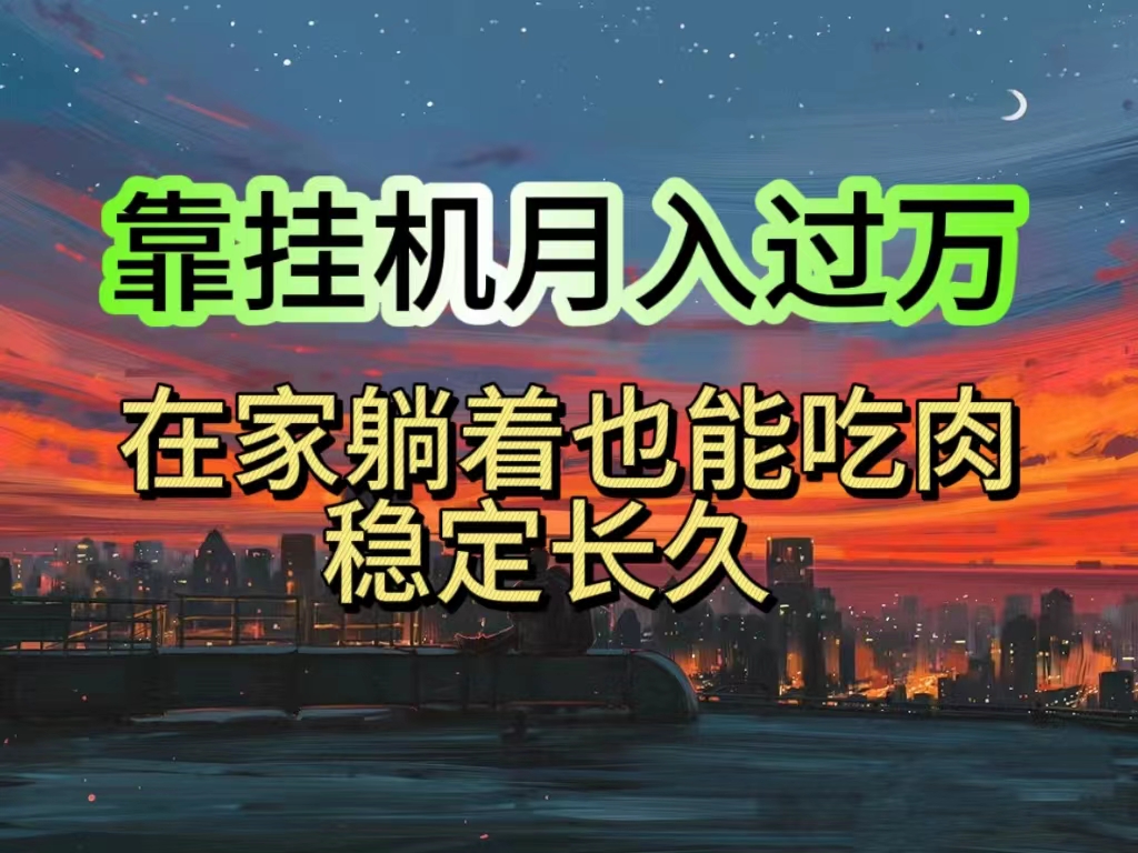 挂机项目日入1000+，躺着也能吃肉，适合宝爸宝妈学生党工作室，电脑手…-搞钱利器