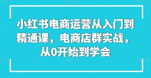 小红书电商运营从入门到精通课，电商店群实战，从0开始到学会-搞钱利器