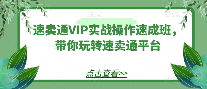 速卖通VIP实战操作速成班，带你玩转速卖通平台-搞钱利器