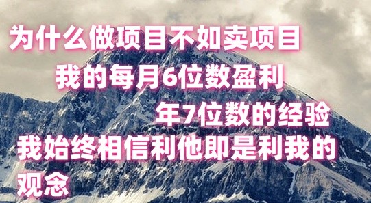 做项目不如卖项目，每月6位数盈利，年7位数经验-搞钱利器
