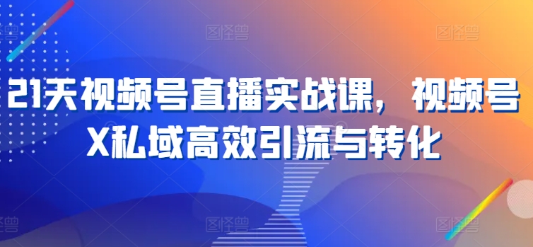 21天视频号直播实战课，视频号X私域高效引流与转化-搞钱利器