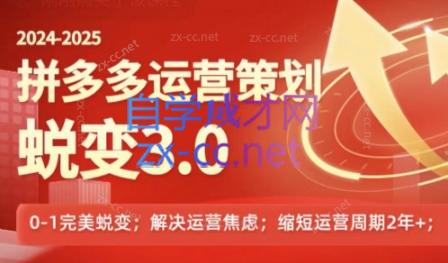 大力老师·2024拼多多运营策略蜕变3.0-搞钱利器