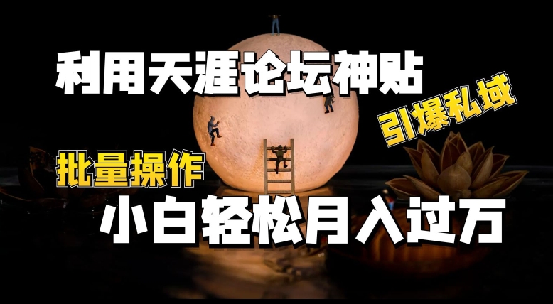 利用天涯论坛神贴，引爆私域，批量操作，小白轻松月入过w【揭秘】-搞钱利器