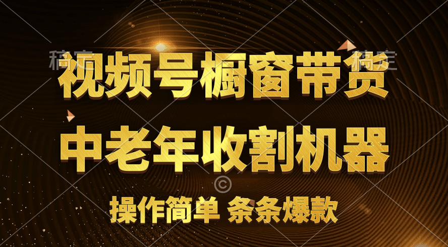 [你的孩子成功取得高位]视频号最火爆赛道，橱窗带货，流量分成计划，条…-搞钱利器