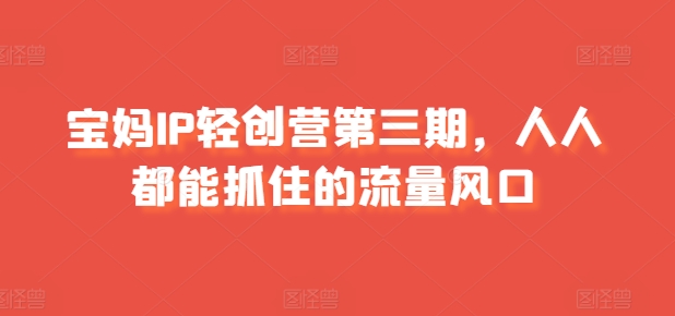 宝妈IP轻创营第三期，人人都能抓住的流量风口-搞钱利器