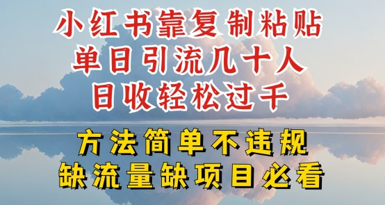 小红书靠复制粘贴单日引流几十人目收轻松过千，方法简单不违规【揭秘】-搞钱利器