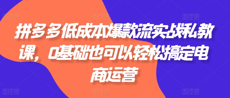 拼多多低成本爆款流实战私教课，0基础也可以轻松搞定电商运营-搞钱利器