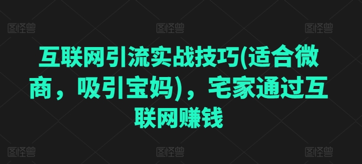 互联网引流实战技巧(适合微商，吸引宝妈)，宅家通过互联网赚钱-搞钱利器