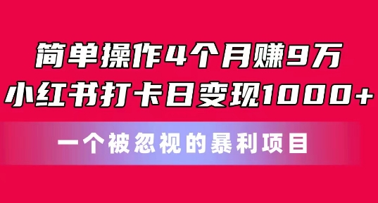 简单操作4个月赚9w，小红书打卡日变现1k，一个被忽视的暴力项目【揭秘】-搞钱利器