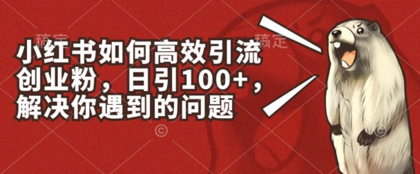 小红书如何高效引流创业粉，日引100+，解决你遇到的问题【揭秘】-搞钱利器