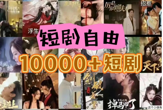 打造完全属于自己的个人短剧库，实现网盘拉新与私域变现的完美融合！-搞钱利器