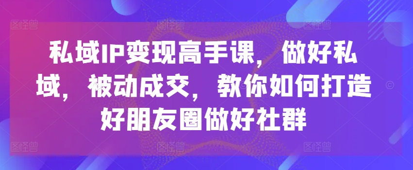 私域IP变现高手课，做好私域，被动成交，教你如何打造好朋友圈做好社群-搞钱利器