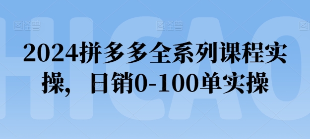 2024拼多多全系列课程实操，日销0-100单实操【必看】-搞钱利器
