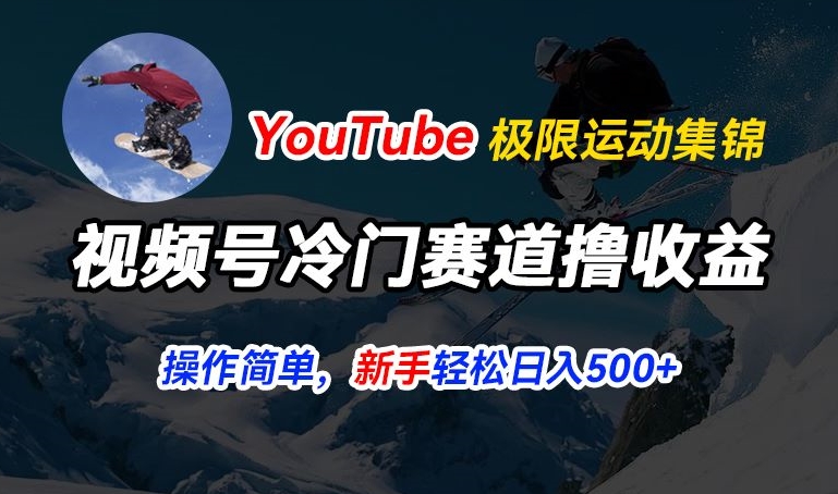 视频号冷门赛道撸收益，YouTube搬运极限运动集锦，暴力起号，操作简单流量高，轻松日入5张【揭秘】-搞钱利器
