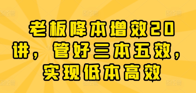 老板降本增效20讲，管好三本五效，实现低本高效-搞钱利器