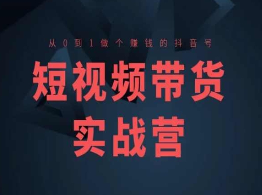 短视频带货实战营(高阶课)，从0到1做个赚钱的抖音号-搞钱利器