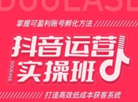 抖音运营实操班，掌握可盈利账号孵化方法，打造高效低成本获客系统-搞钱利器