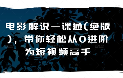 电影解说一课通(绝版)，带你轻松从0进阶为短视频高手-搞钱利器