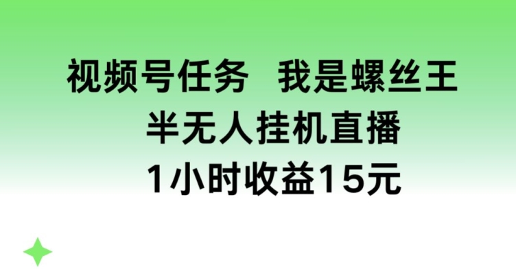 视频号任务，我是螺丝王， 半无人挂机1小时收益15元【揭秘】-搞钱利器