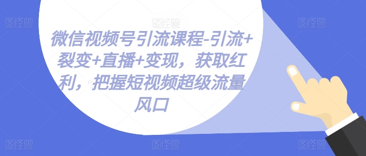 微信视频号引流课程-引流+裂变+直播+变现，获取红利，把握短视频超级流量风口-搞钱利器