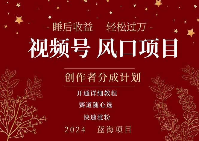 拥有睡眠收益的微信视频号大风口项目，轻松月入过万+，多赛道选择，可…-搞钱利器