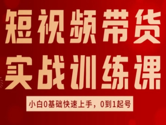 短视频带货实战训练课，好物分享实操，小白0基础快速上手，0到1起号-搞钱利器