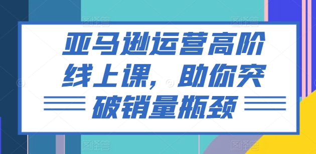 亚马逊运营高阶线上课，助你突破销量瓶颈-搞钱利器