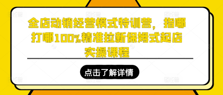 全店动销经营模式特训营，指哪打哪100%精准拉新保姆式起店实操课程-搞钱利器
