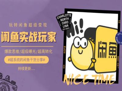 手把手教你0到1系统玩转闲鱼变现，爆款思维/超级曝光/超高转化-搞钱利器