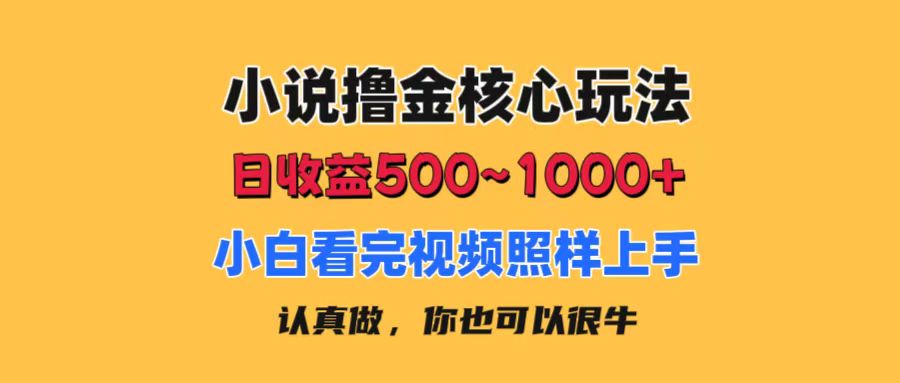 小说撸金核心玩法，日收益500-1000+，小白看完照样上手，0成本有手就行-搞钱利器