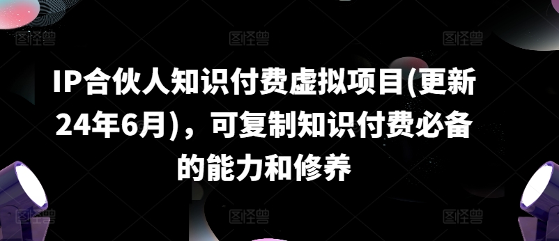 IP合伙人知识付费虚拟项目(更新24年6月)，可复制知识付费必备的能力和修养-搞钱利器