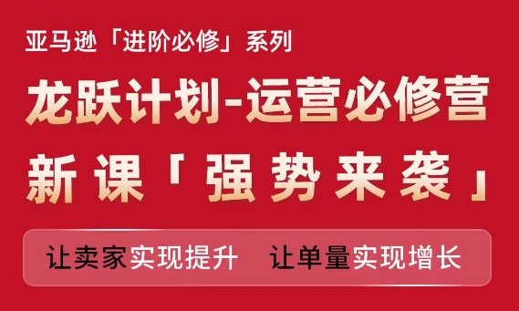 亚马逊进阶必修系列，龙跃计划-运营必修营新课，让卖家实现提升 让单量实现增长-搞钱利器