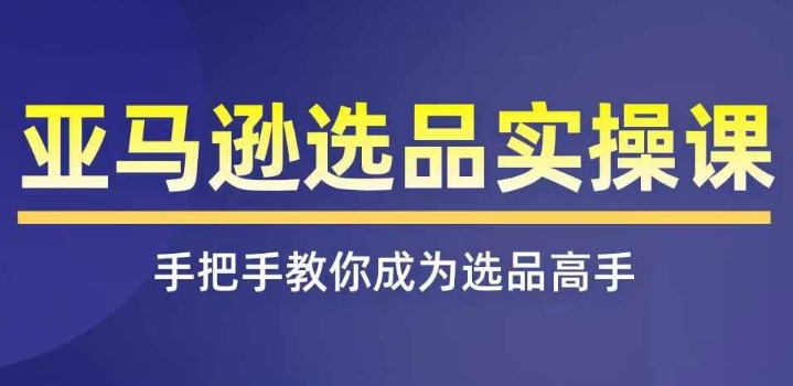 亚马逊选品实操课程，快速掌握亚马逊选品的技巧，覆盖亚马逊选品所有渠道-搞钱利器