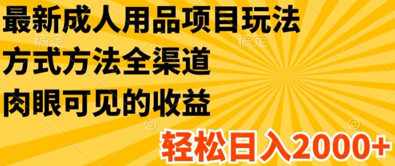 最新成人用品项目玩法，方式方法全渠道，轻松日入2K+【揭秘】-搞钱利器