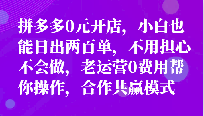 最新拼多多优质项目小白福利，两天销量过百单，不收费、老运营代操作-搞钱利器