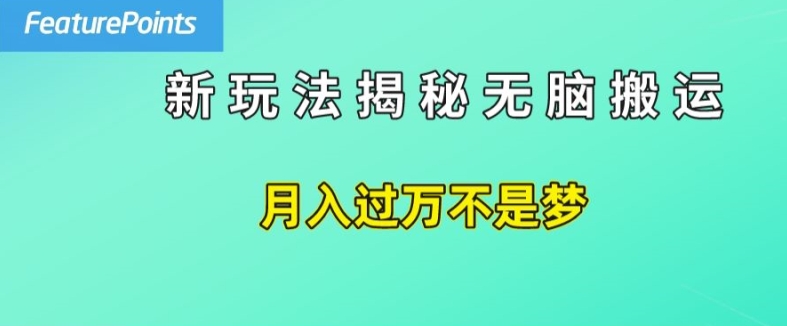 简单操作，每天50美元收入，搬运就是赚钱的秘诀【揭秘】-搞钱利器