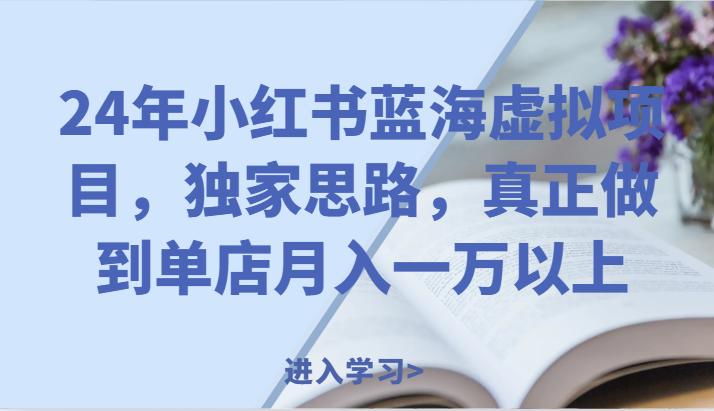 24年小红书蓝海虚拟项目，独家思路，真正做到单店月入一万以上。-搞钱利器