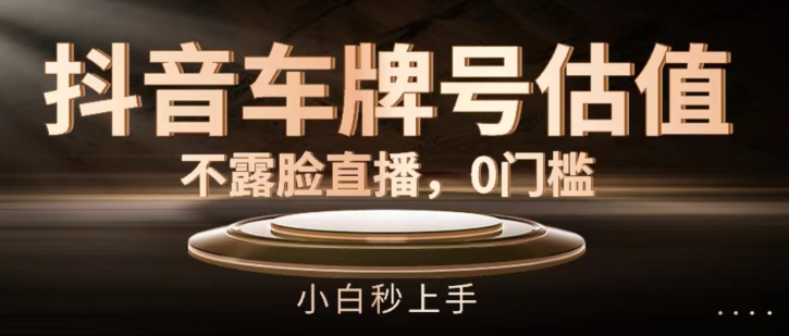 抖音车牌号估值，不露脸直播，0门槛，小白秒上手【揭秘】-搞钱利器