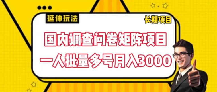 国内调查问卷矩阵项目，一人批量多号月入3000【揭秘】-搞钱利器