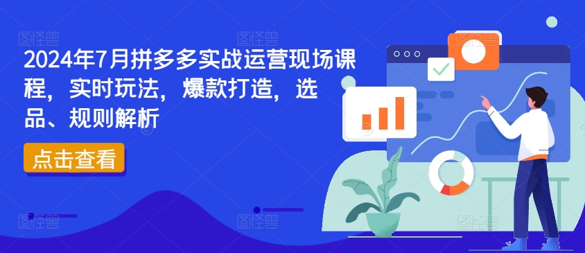 2024年7月拼多多实战运营现场课程，实时玩法，爆款打造，选品、规则解析-搞钱利器