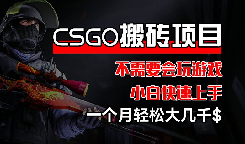 CSGO 装备搬砖项目，操作简单，不需要会玩游戏，小白也能快速上手，一个月轻松大几千【揭秘】-搞钱利器
