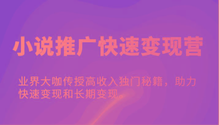 小说推广快速变现营-业界大咖传授高收入独门秘籍，助力快速变现和长期变现。-搞钱利器