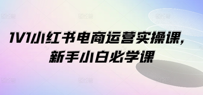 1V1小红书电商运营实操课，新手小白必学课-搞钱利器