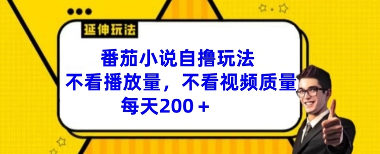番茄小说自撸玩法，不看播放量，不看视频质量，每天200+【揭秘】-搞钱利器