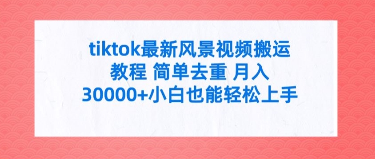 tiktok最新风景视频搬运教程 简单去重 月入3W+小白也能轻松上手【揭秘】-搞钱利器