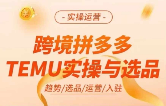 跨境拼多多TEMU实操与选品，多多temu跨境选品运营实操-搞钱利器