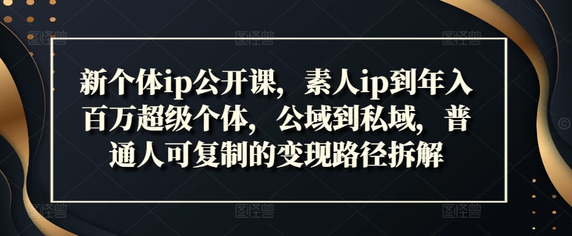 新个体ip公开课，素人ip到年入百万超级个体，公域到私域，普通人可复制的变现路径拆解-搞钱利器