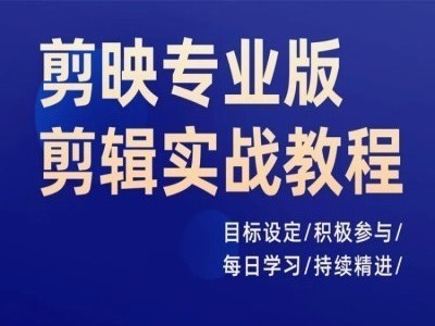 剪映专业版剪辑实战教程，目标设定/积极参与/每日学习/持续精进-搞钱利器